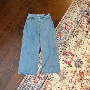 Abercrombie & Fitch Curve Love Light Blue Wide Leg Jeans NWT